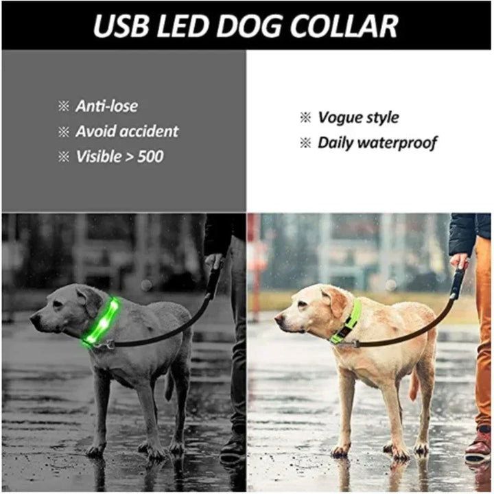 LED Glowing Dog Collar – Rechargeable Night Safety Collar