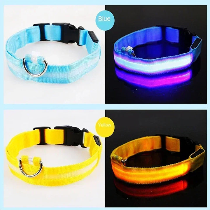 LED Glowing Dog Collar – Rechargeable Night Safety Collar