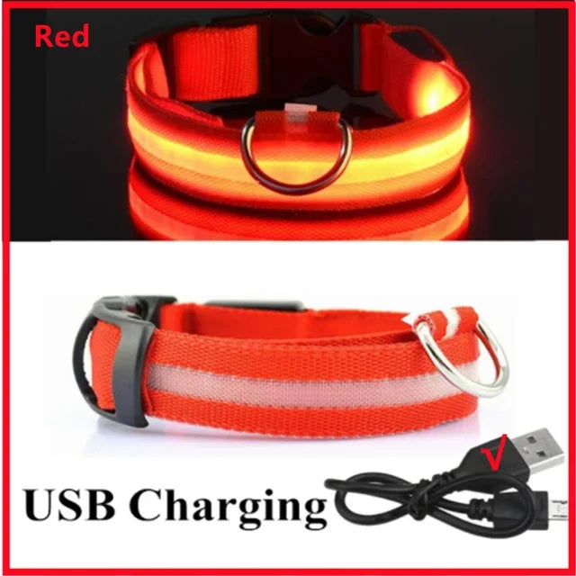LED Glowing Dog Collar – Rechargeable Night Safety Collar