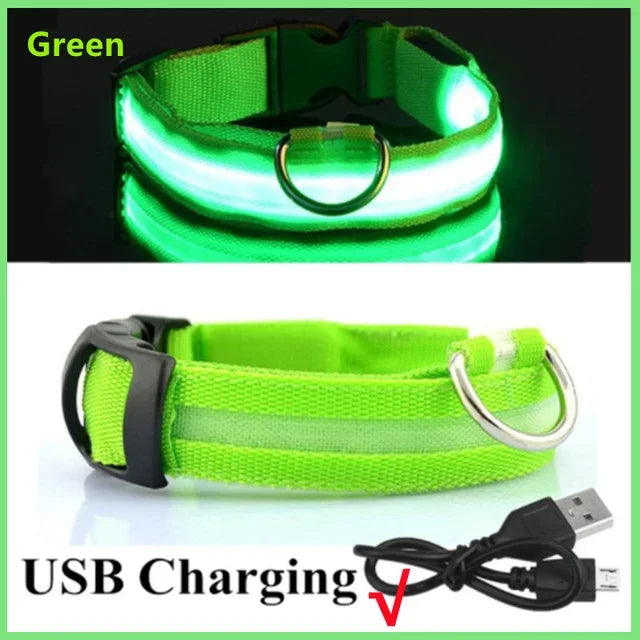 LED Glowing Dog Collar – Rechargeable Night Safety Collar