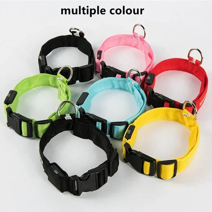 LED Glowing Dog Collar – Rechargeable Night Safety Collar