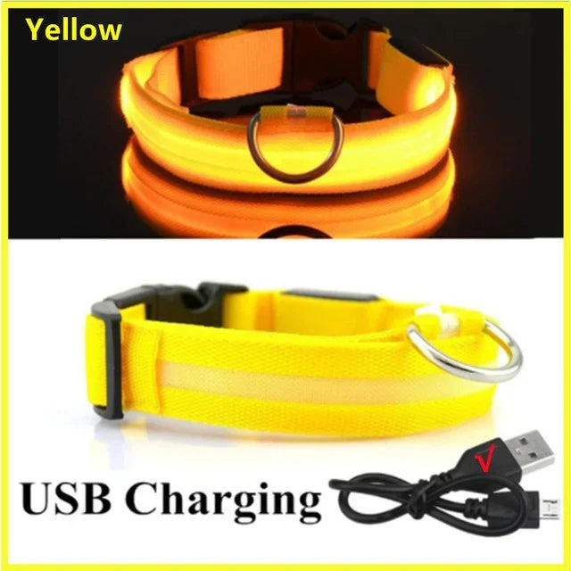 LED Glowing Dog Collar – Rechargeable Night Safety Collar