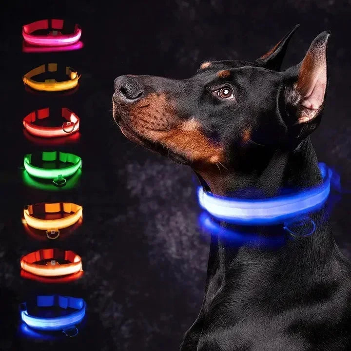 LED Glowing Dog Collar – Rechargeable Night Safety Collar