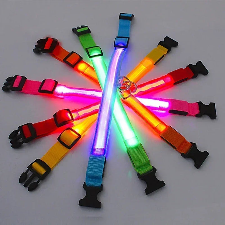 LED Glowing Dog Collar – Rechargeable Night Safety Collar