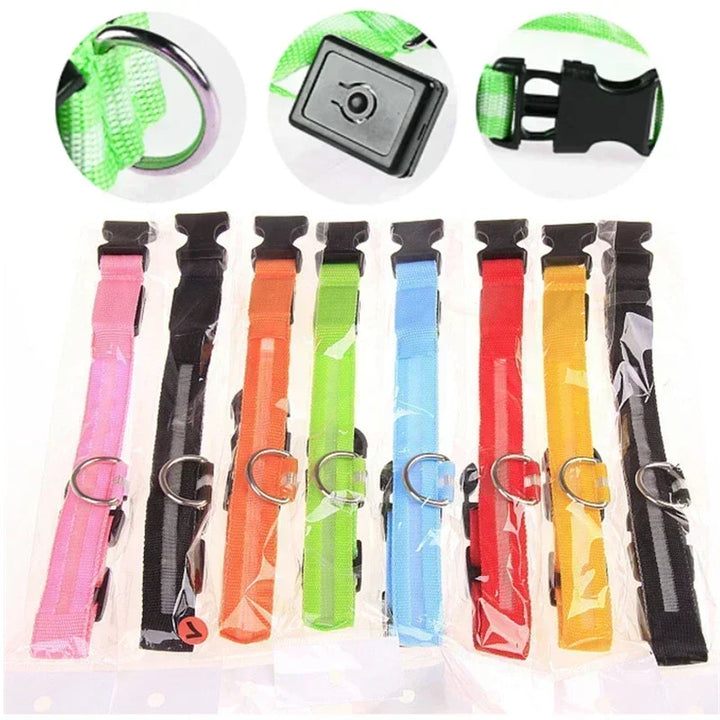LED Glowing Dog Collar – Rechargeable Night Safety Collar