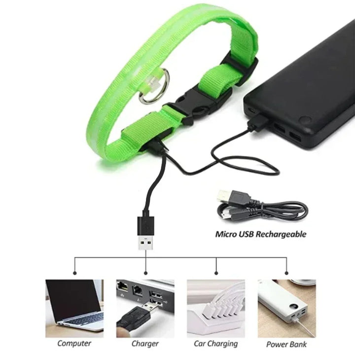 LED Glowing Dog Collar – Rechargeable Night Safety Collar