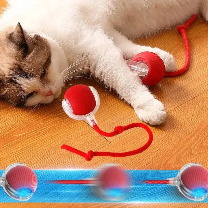Automatic Rolling Ball Cat Toy – Interactive Fake Tail Electric Mouse