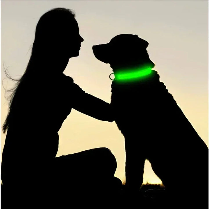 LED Glowing Dog Collar – Rechargeable Night Safety Collar