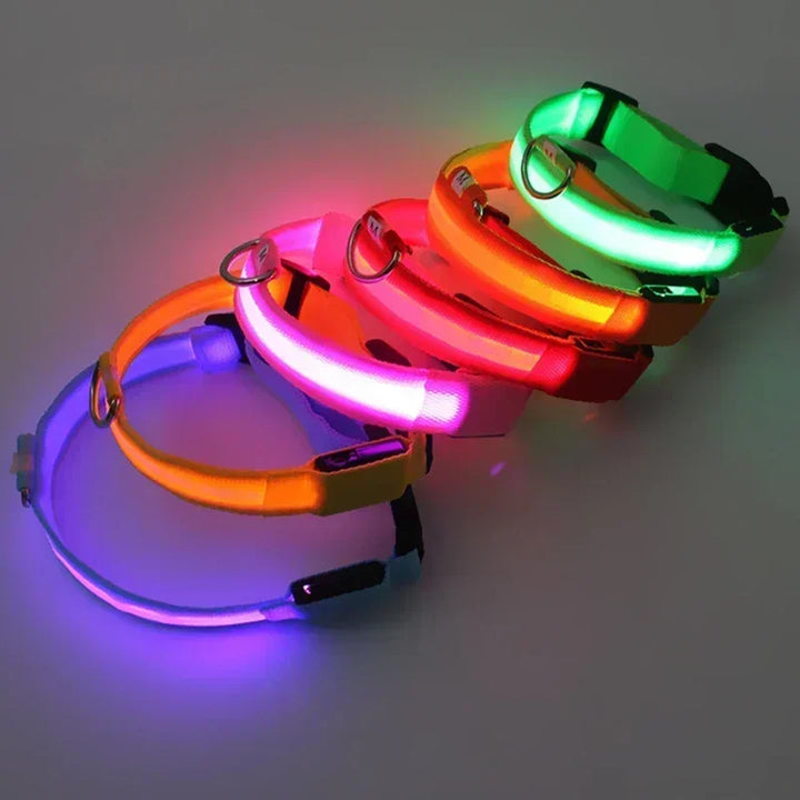 LED Glowing Dog Collar – Rechargeable Night Safety Collar