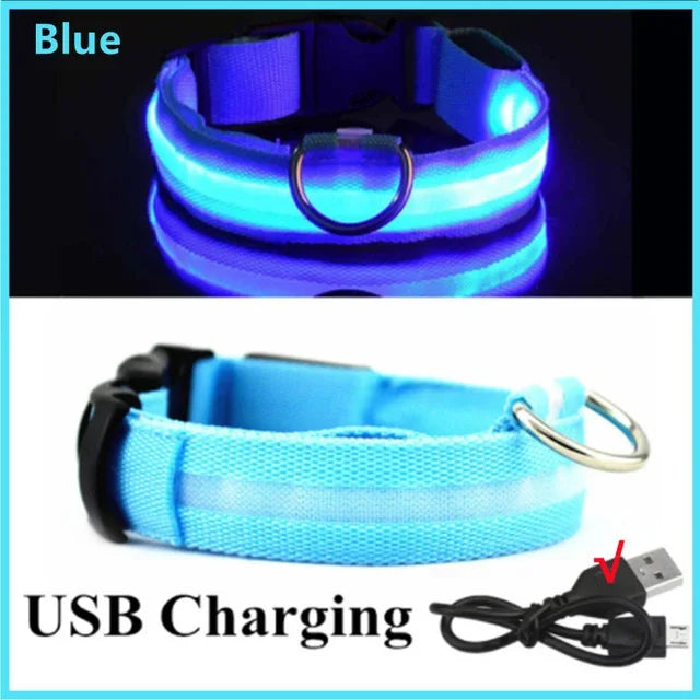 LED Glowing Dog Collar – Rechargeable Night Safety Collar