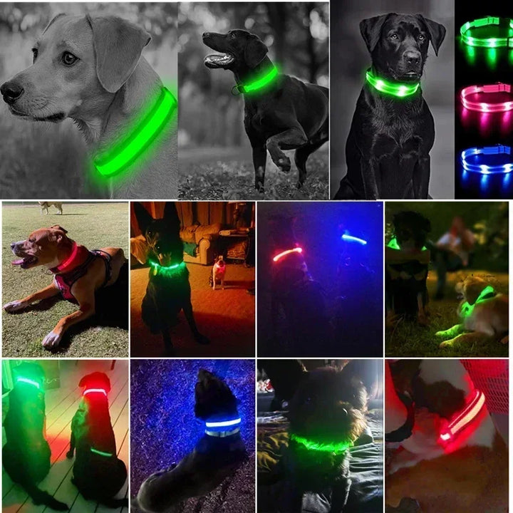 LED Glowing Dog Collar – Rechargeable Night Safety Collar