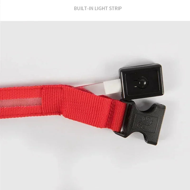 LED Glowing Dog Collar – Rechargeable Night Safety Collar