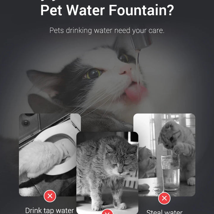 ROJECO Smart Cat Water Fountain – Automatic Circulating Pet Water Dispenser