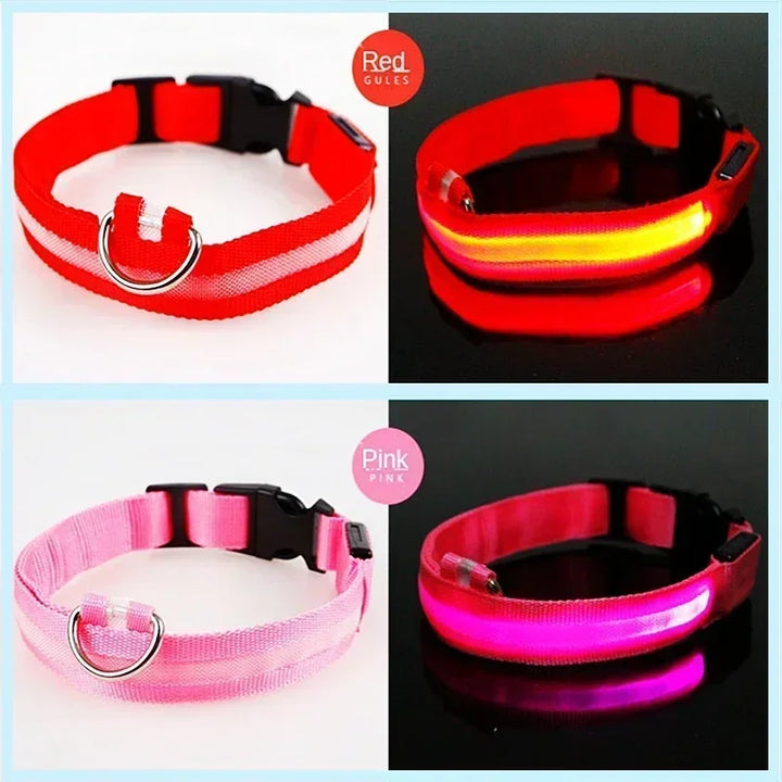 LED Glowing Dog Collar – Rechargeable Night Safety Collar
