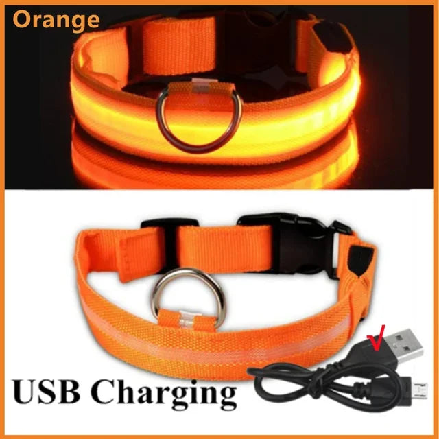 LED Glowing Dog Collar – Rechargeable Night Safety Collar