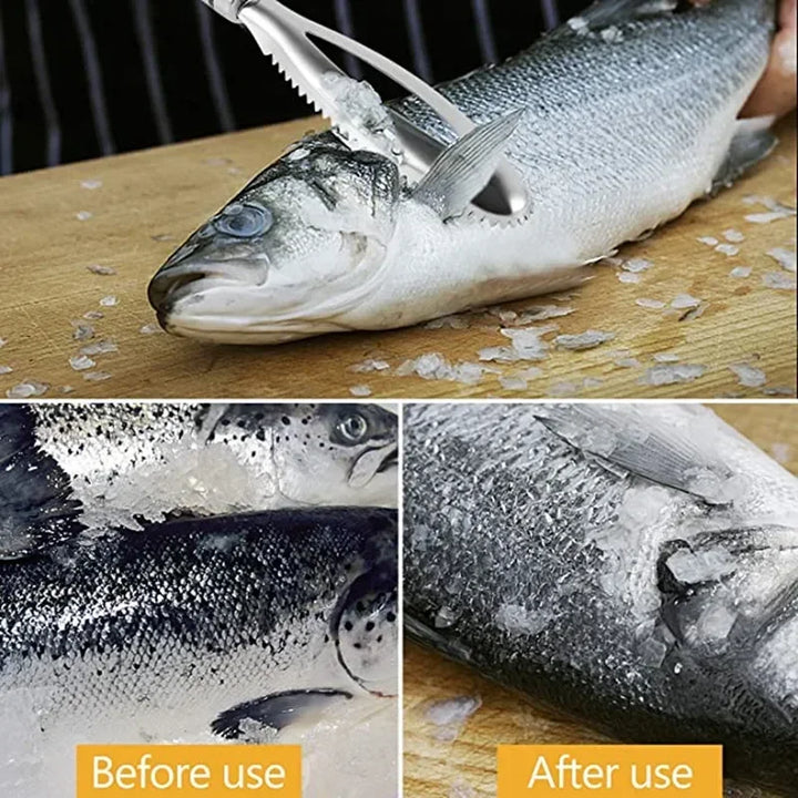 Professional Stainless Steel Fish Scaler – Clean, Safe & Effortless Descaling