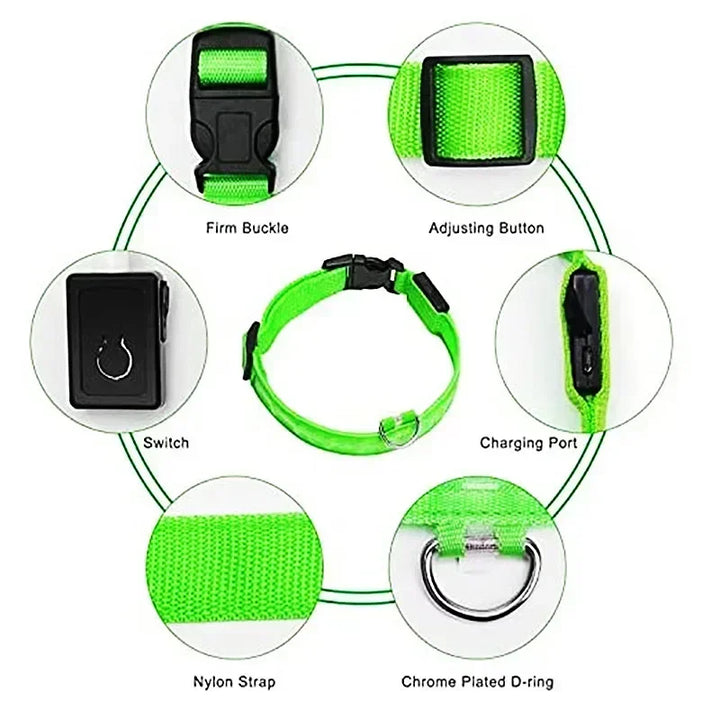 LED Glowing Dog Collar – Rechargeable Night Safety Collar