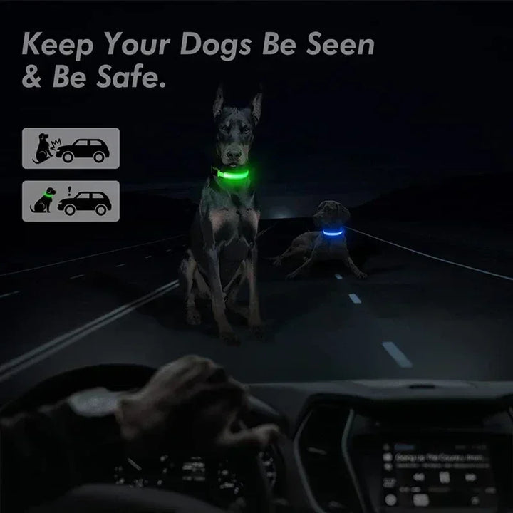 LED Glowing Dog Collar – Rechargeable Night Safety Collar