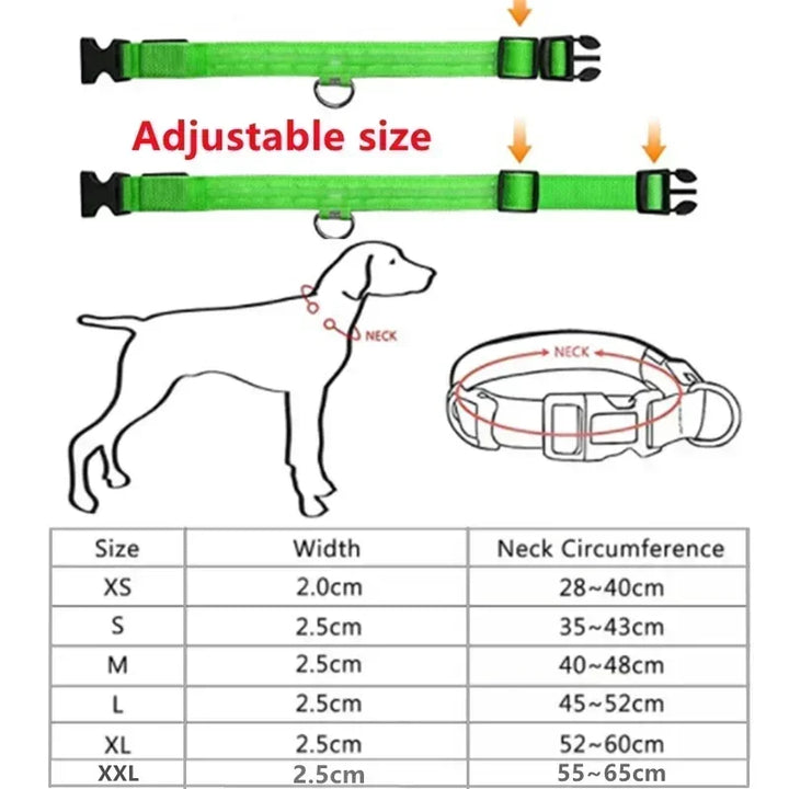 LED Glowing Dog Collar – Rechargeable Night Safety Collar