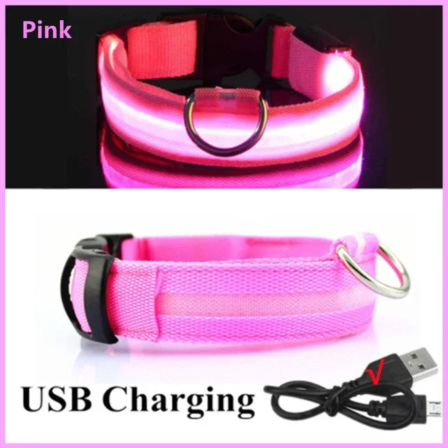 LED Glowing Dog Collar – Rechargeable Night Safety Collar