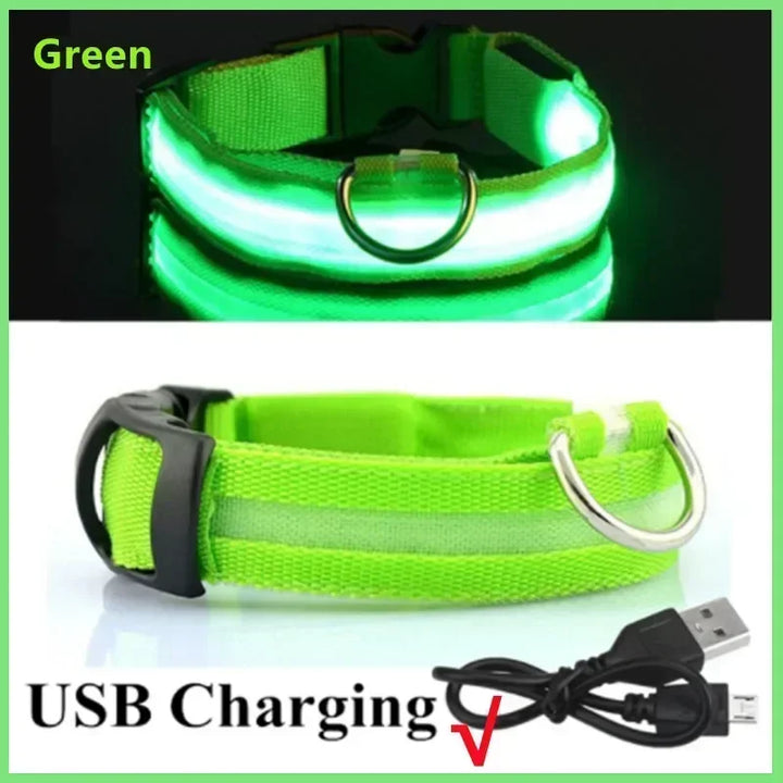 LED Glowing Dog Collar – Rechargeable Night Safety Collar