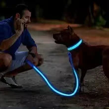 LED Glowing Dog Collar – Rechargeable Night Safety Collar