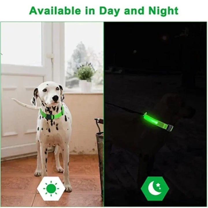 LED Glowing Dog Collar – Rechargeable Night Safety Collar