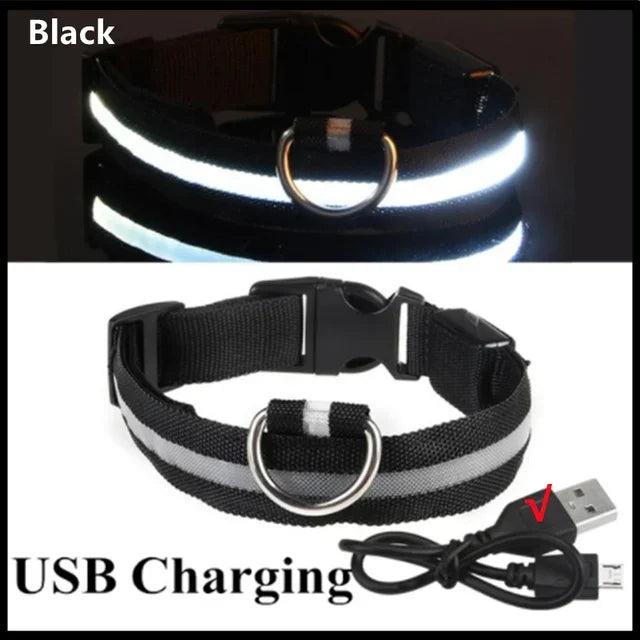 LED Glowing Dog Collar – Rechargeable Night Safety Collar