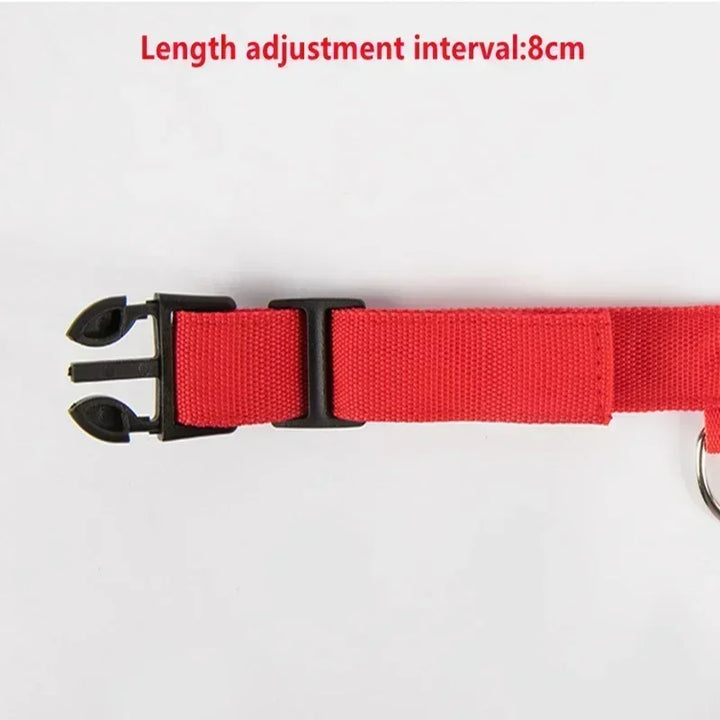 LED Glowing Dog Collar – Rechargeable Night Safety Collar