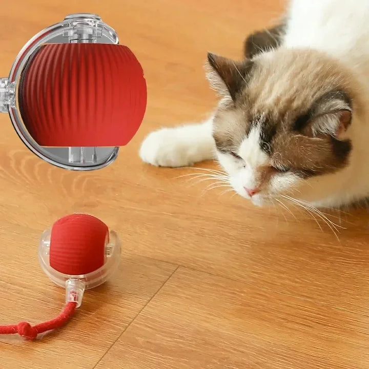 Automatic Rolling Ball Cat Toy – Interactive Fake Tail Electric Mouse