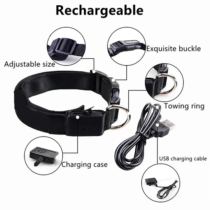 LED Glowing Dog Collar – Rechargeable Night Safety Collar
